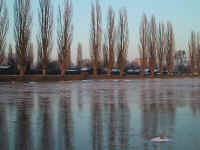 IMG_2208.jpg (184508 Byte)