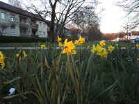 reiner/images/Stadtteil/IMG_0239.jpg (106578 Byte)