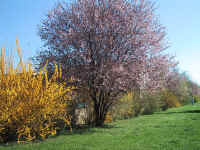 reiner/images/Stadtteil/IMG_0381.jpg (182458 Byte)