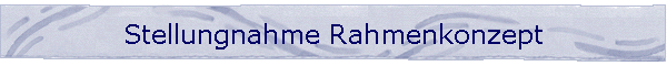 Stellungnahme Rahmenkonzept